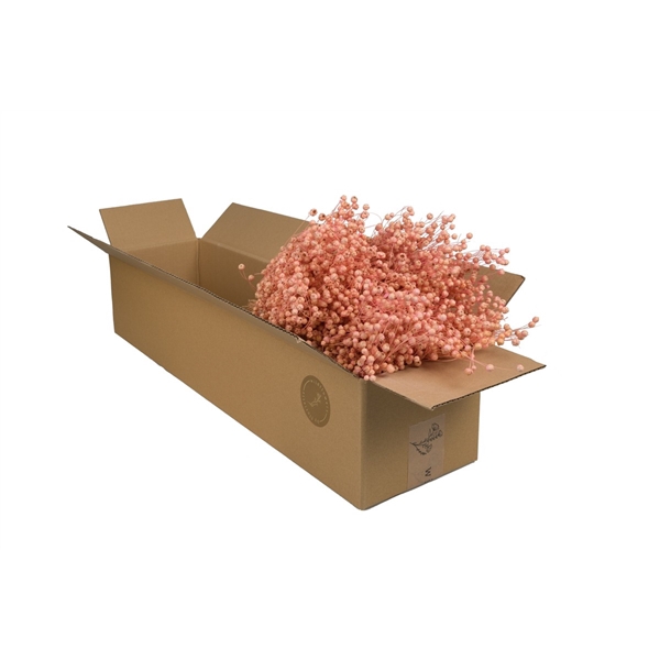 <h4>Droogbloemen-Linium Pink Pastel</h4>