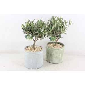 arr3 SN - Ker. pot olijf green/grey x4