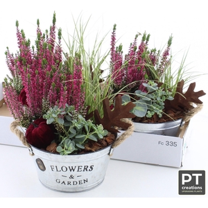 ARR TUINPLANTEN