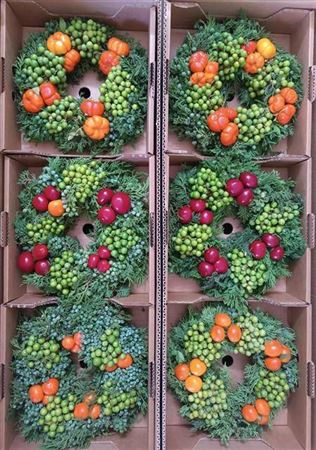 <h4>Sierfruit Krans H%</h4>