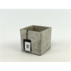 PLANT. CEMENT 10*10*10