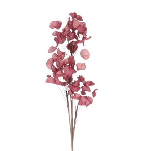 Artificial flowers Foam Cotinea 112cm