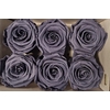 Ro Pres Classic Graphite