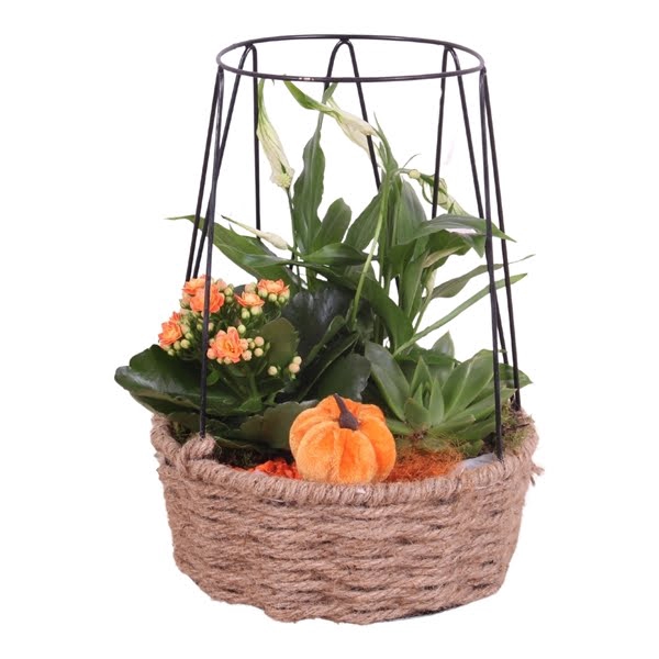 <h4>Autumn Arr. Frametower with Rope Ø21cm 3PP</h4>