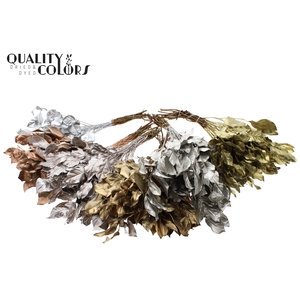 Salal tips dried per bunch Mixed Colours Metallic