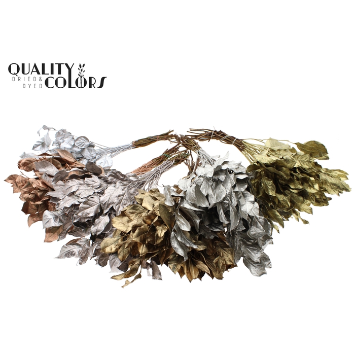 <h4>Salal tips dried per bunch Mixed Colours Metallic</h4>