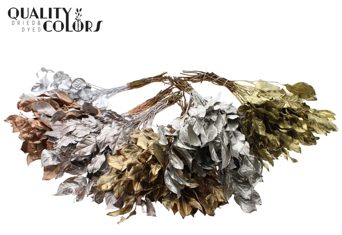 Salal tips dried per bunch Mixed Colours Metallic