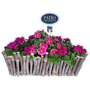 Arr.   Perkplanten L%