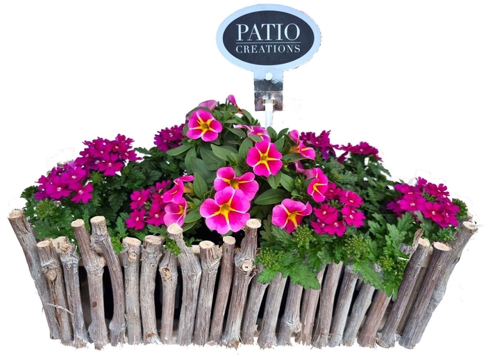 <h4>Arr.   Perkplanten L%</h4>