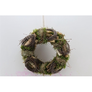 Wr Easter Buxus Hooi Birch Mos 30cm