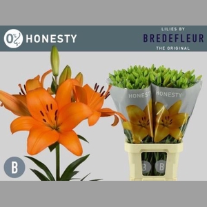 LI LA HONESTY