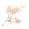 Fern Branch Pink Light