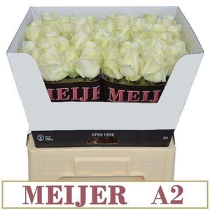 RS GR AVALANCHE ZWARTE EMMER