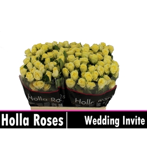 R TR WEDDING INVITE