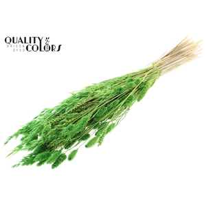 Dried Flower Mix bunch Bleached Light Green