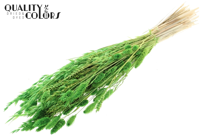 <h4>Dried Flower Mix bunch Bleached Light Green</h4>