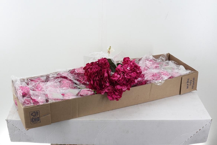 <h4>Hydr Raspberry Sel Box</h4>