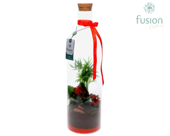 <h4>Green Bottle Fles Large Love met Arrangement</h4>