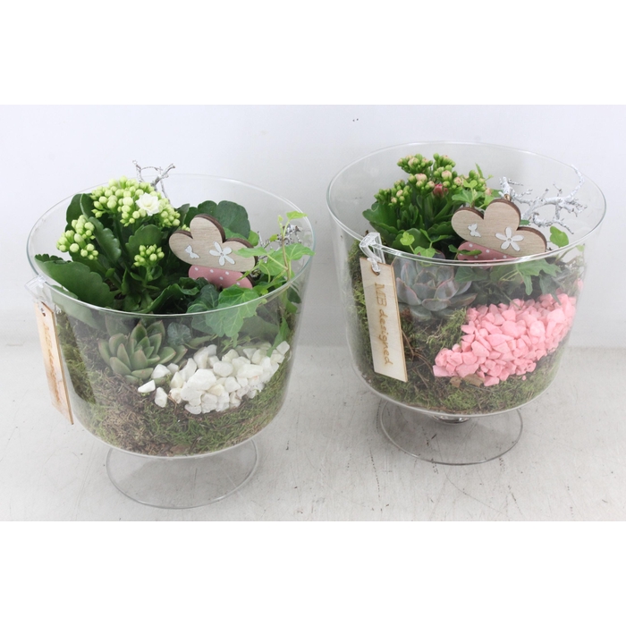 <h4>Arr2 Mb - Glas Breed Op Voet - Roze/wit</h4>