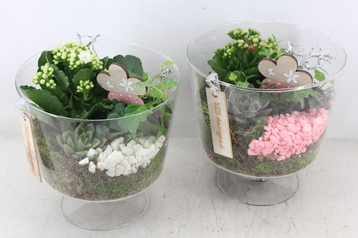 Arr2 Mb - Glas Breed Op Voet - Roze/wit