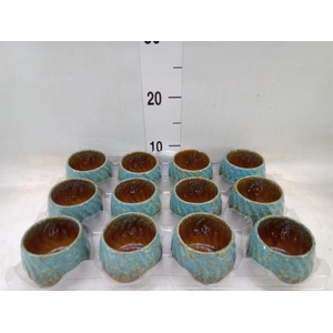 Decoratieve materialen   ...H%