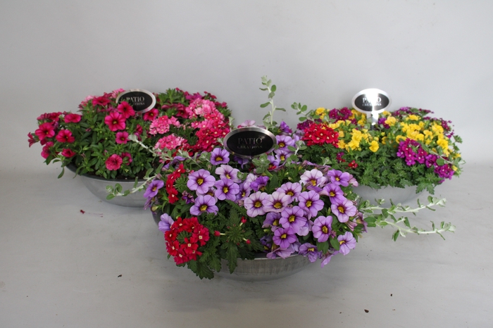 <h4>(stek) Perkgoedmix in zinken schaal D31</h4>