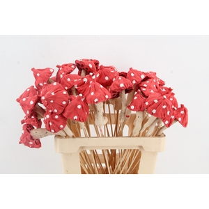 Stick Mushroom Lotus Red