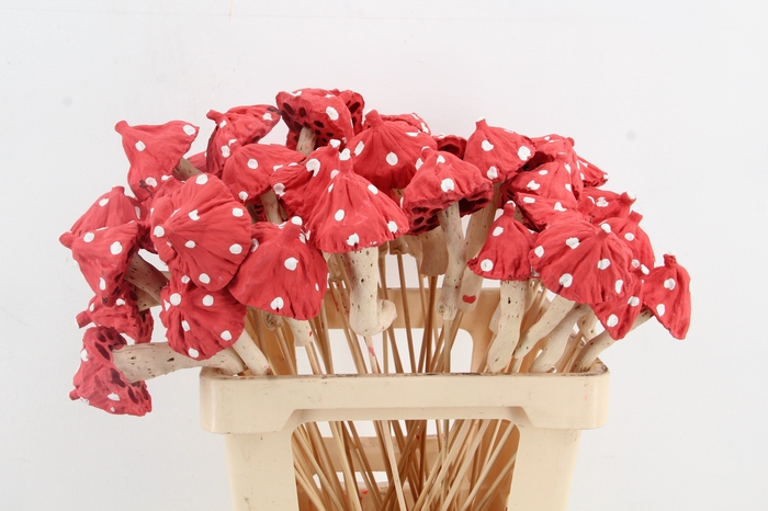 <h4>Stick Mushroom Lotus Red</h4>