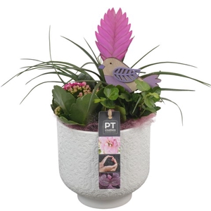 PTIB6388 Arrangement Indoor in keramiek pot