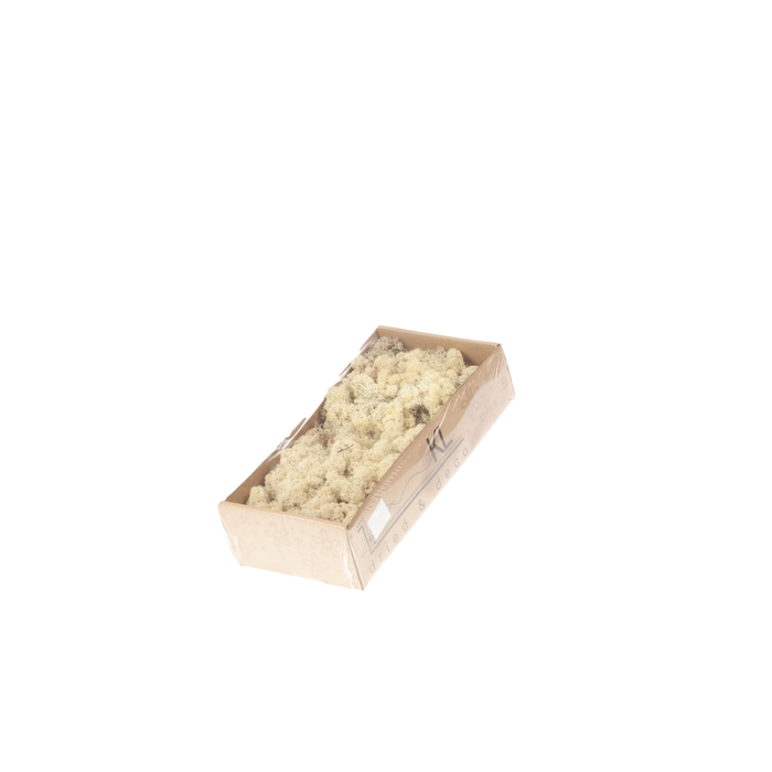<h4>Reindeer Moss Preserved Sb Natural</h4>