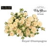 R TR ROYAL BLUSH PEARL