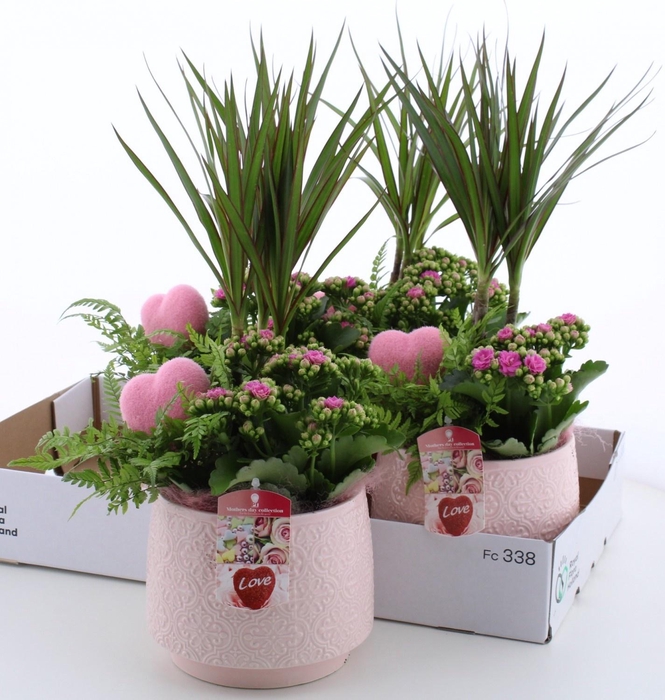 <h4>ARR KAMERPL</h4>