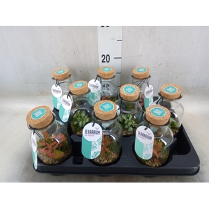 Arr.   Planten L%