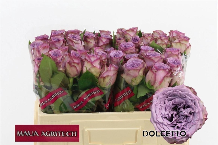<h4>R Gr Dolcetto!</h4>