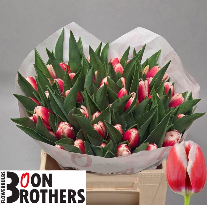 <h4>TU EN OUTFIT</h4>