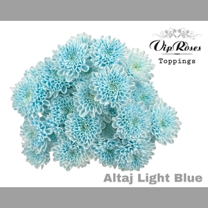 CHR T ALTAJ LIGHT BLUE