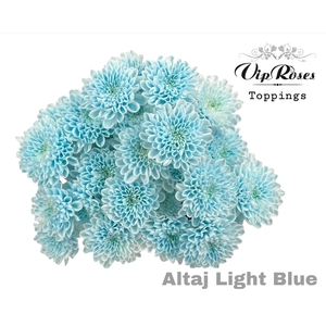 Chr T Altaj Light Blue