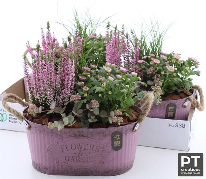 ARR TUINPLANTEN