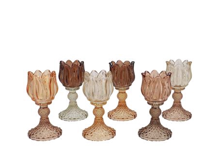 <h4>Bicolore Earthy Terra Bloom T-light Ass 8x15cm Nm</h4>
