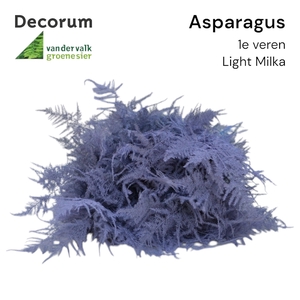 ASP 1e veren Light milka 45cm box x50