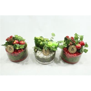 4739 PINDA/CILINDER RD/WIT