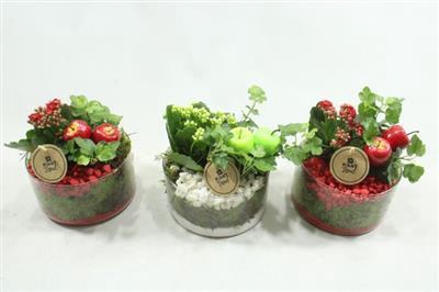 <h4>4739 PINDA/CILINDER RD/WIT</h4>