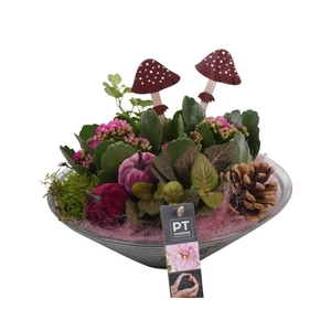 PTHG3329 Arrangement Autumn Glass in glas schaal