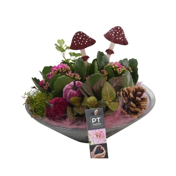 <h4>PTHG3329 Arrangement Autumn Glass in glas schaal</h4>