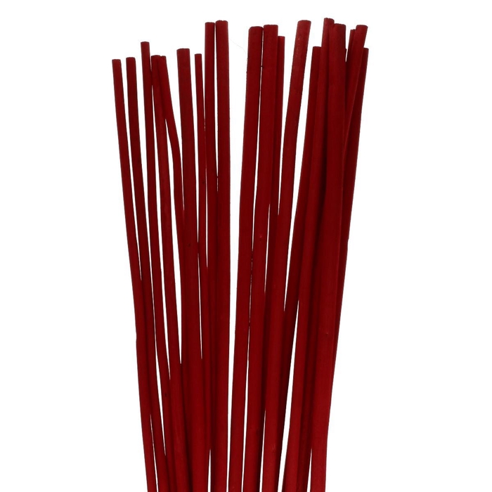 <h4>Droogdeco Bamboestok 100cm x20</h4>