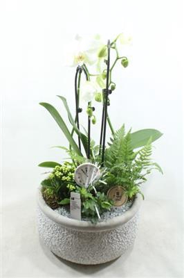 <h4>3332 KER GREY CASCADE</h4>