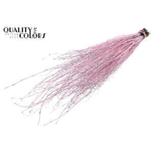 Birch 70cm 10stems per bunch Light Pink