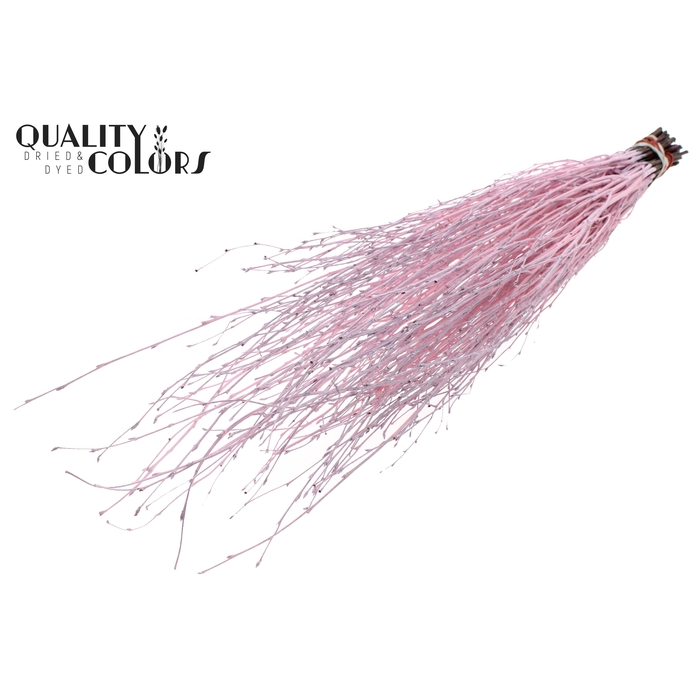 <h4>Birch 70cm 10stems per bunch Light Pink</h4>