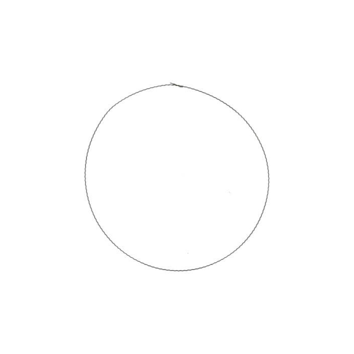 <h4>Bloemisterij Ring metaal d50cm</h4>