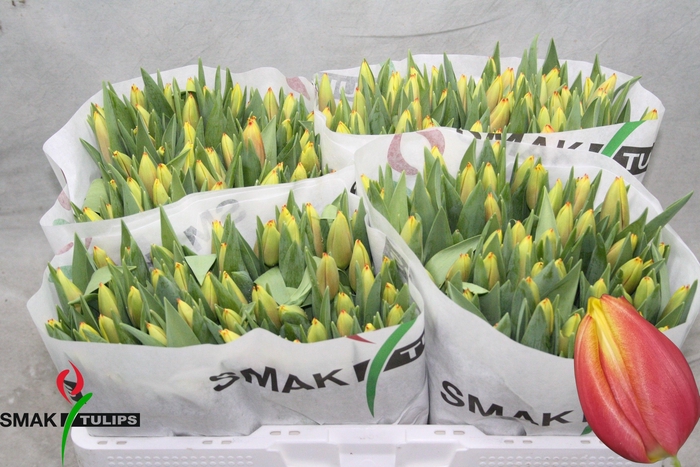 <h4>TU EN DOW JONES</h4>